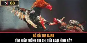 Đá Gà Tre Bj88 - Tìm Hiểu Thông Tin Chi Tiết Loại Hình Này