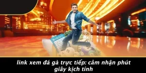 LINK XEM ĐÁ GÀ TRỰC TIẾP: CẢM NHẬN PHÚT GIÂY KỊCH TÍNH